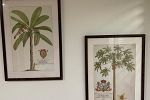 Sale Photo Thumbnail #37