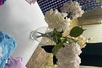 Sale Photo Thumbnail #8