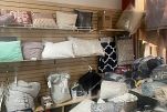 Sale Photo Thumbnail #9