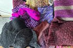 Sale Photo Thumbnail #29