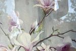 Sale Photo Thumbnail #48