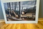 Sale Photo Thumbnail #89