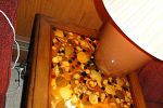 Sale Photo Thumbnail #19