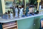 Sale Photo Thumbnail #79