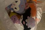 Sale Photo Thumbnail #8