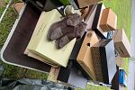 Sale Photo Thumbnail #4