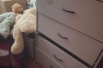 Sale Photo Thumbnail #15