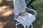 Sale Photo Thumbnail #65
