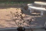 Sale Photo Thumbnail #134