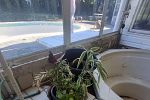 Sale Photo Thumbnail #146