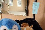 Sale Photo Thumbnail #25