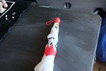 Sale Photo Thumbnail #11