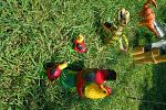 Sale Photo Thumbnail #51