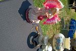 Sale Photo Thumbnail #27