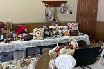 Sale Photo Thumbnail #5