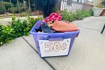 Sale Photo Thumbnail #19