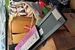 Sale Photo Thumbnail #4