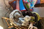 Sale Photo Thumbnail #4