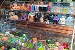 Sale Photo Thumbnail #14