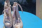 Sale Photo Thumbnail #17