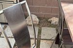 Sale Photo Thumbnail #17