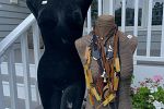 Sale Photo Thumbnail #4
