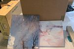 Sale Photo Thumbnail #13