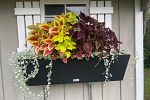 Sale Photo Thumbnail #47