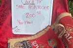 Sale Photo Thumbnail #9