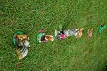 Sale Photo Thumbnail #40