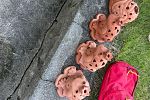 Sale Photo Thumbnail #9
