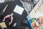 Sale Photo Thumbnail #4