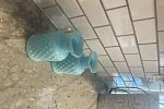 Sale Photo Thumbnail #10