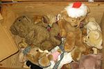 Sale Photo Thumbnail #16