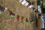 Sale Photo Thumbnail #9