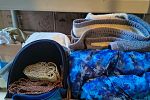 Sale Photo Thumbnail #13