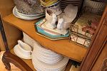 Sale Photo Thumbnail #42