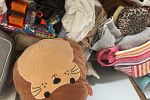 Sale Photo Thumbnail #9
