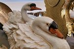Sale Photo Thumbnail #66