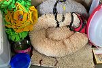 Sale Photo Thumbnail #21