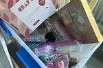 Sale Photo Thumbnail #3