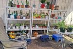 Sale Photo Thumbnail #20