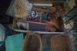 Sale Photo Thumbnail #24