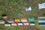 Sale Photo Thumbnail #44