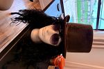 Sale Photo Thumbnail #54