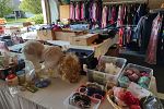 Sale Photo Thumbnail #9