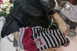 Sale Photo Thumbnail #30