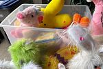 Sale Photo Thumbnail #23