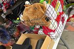Sale Photo Thumbnail #31