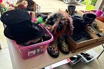 Sale Photo Thumbnail #27